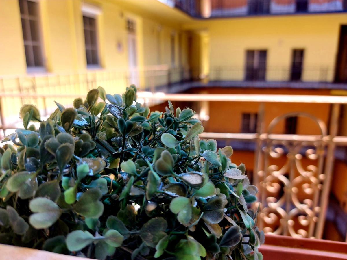 Gecko Centrum Studio Apartman Budapest Extérieur photo
